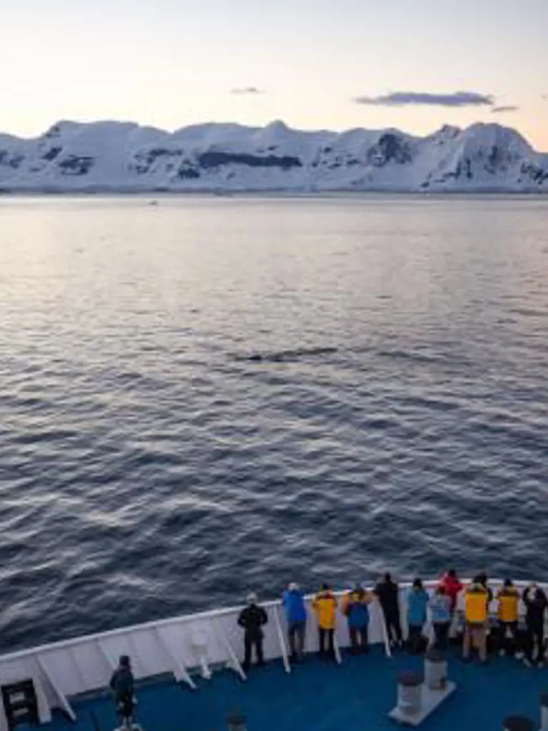 Expeditionskreuzfahrt in die Antarktis
